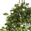 Plante stephanotis artificielle en panier 38"