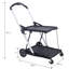 Chariot utilitaire pliable Chariots utilitaires pliables multi-usage à 2 niveaux avec paniers Carrito Para Supermercado Con Ruedas-126692575