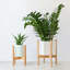 Baheerah Plant Stand - Set of 3