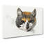 Head of a Calico Cat - Wrapped Canvas-55360707
