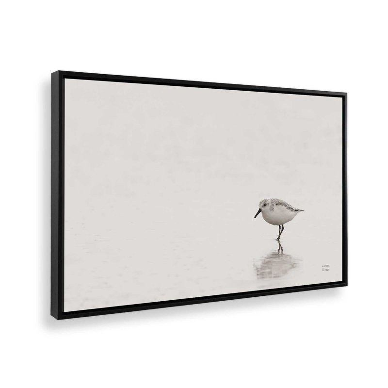 Impression sur toile Tybee Island Sanderling par Nathan Larson, Noir, H 8 po x l 12 po, Cadre flottant