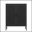 Armoire de rangement en métal durable sans serrure avec 2 portes et 2 tablettes réglables, idéale pour les espaces organisés