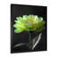 Vert, noir, jardin, glamour, souci, art mural-110988783-148096706
