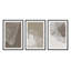 Ensemble de 3 gravures Timeless Grains-1513744153-1513744332