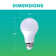 60-Watt Equivalent A19 Dimmable LED Light Bulb, 5000K Daylight, 8-pack