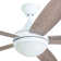 Romario 52" Ceiling Fan with LED Light