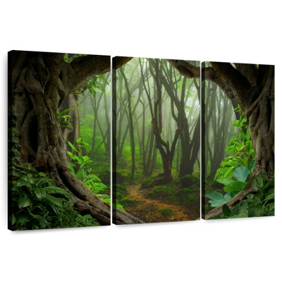 Alvord Foggy Jungle In Asia