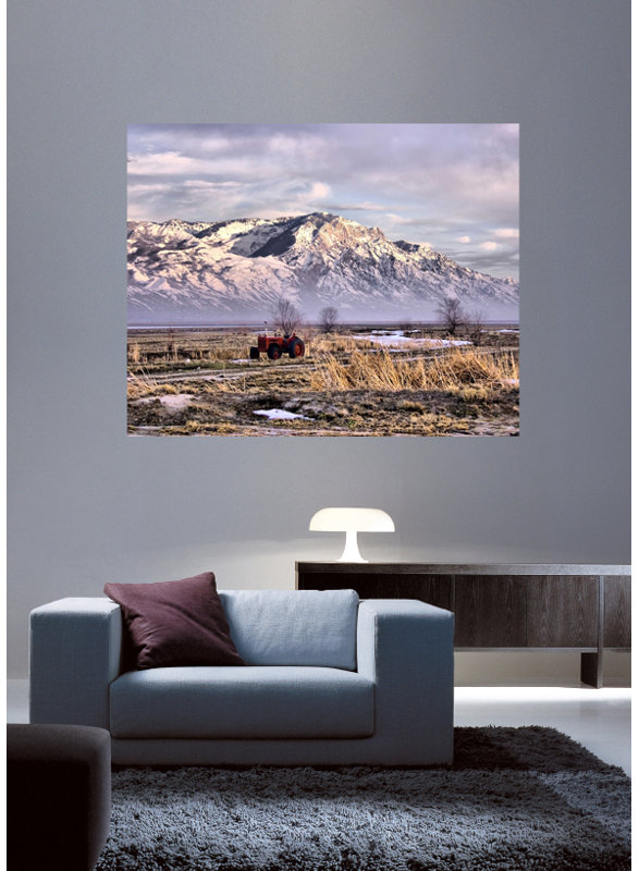 Batie Non-Wall Damaging Wall Decal, 19" H x 24" W