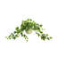 Verdant Vines Faux Ivy Plant in Ceramic Pot
