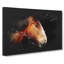 Brown Shire Horse - Wrapped Canvas-56641336