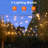 35FT Indoor/Outdoor Hanging Solar Powered & Plug-in String Lights with Remote Control Includes 11 LED Bulbs