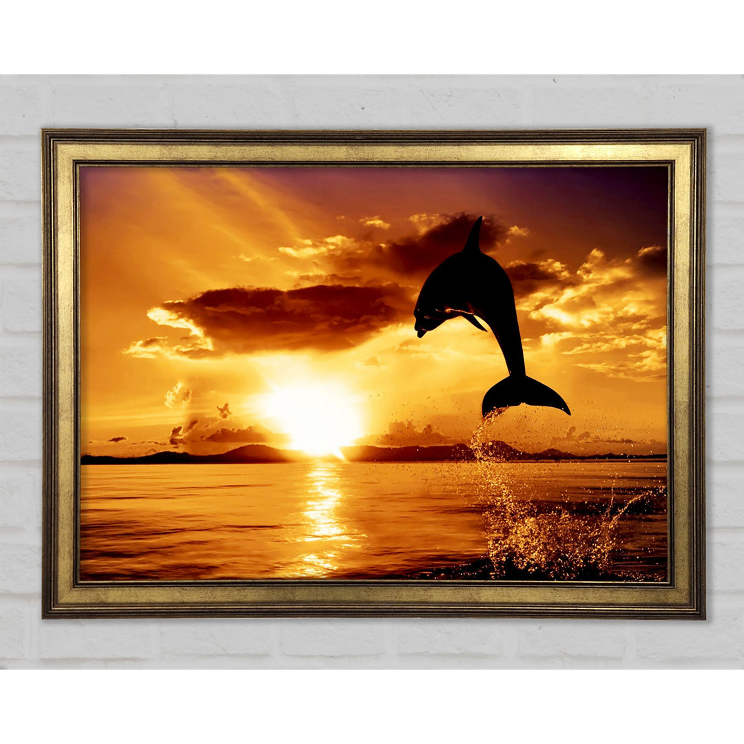 Gerahmtes Bild Dolphin Sunset