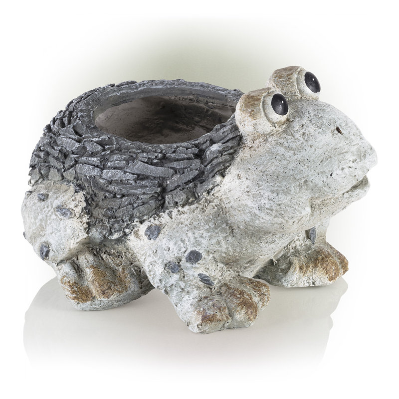Pot de fleurs statue magnesia grenouille Willacoochee