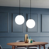 Luminaire suspendu à globe unique à 1 lumière
