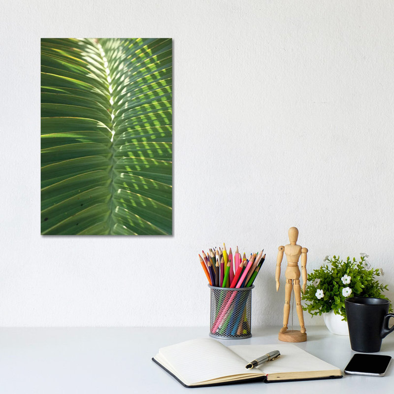 Palm Detail I by Wild Apple Portfolio - Wrapped Canvas Gallery-Wrapped Canvas Giclée, 20.32 cm H x 30.48 cm W