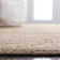 Patrick Performance Oriental Rug