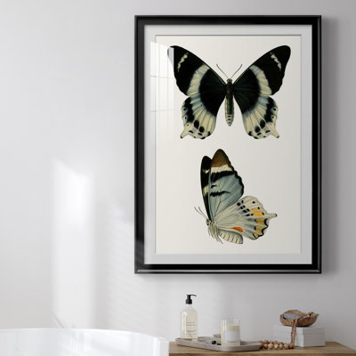 «Antique Blue Butterflies I», reproduction encadrée de qualité supérieure - prête à être accrochée