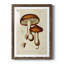 Champignon Variétés VI encadré mat - prêt à accrocher-868071640-868071636
