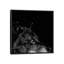 « loup i », reproduction de photo sur toile-29169628-72806901-72806902