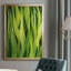 Of Grass I-88443039-88443040