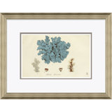 Blue Coral Giclee Print by Paul Cezanne