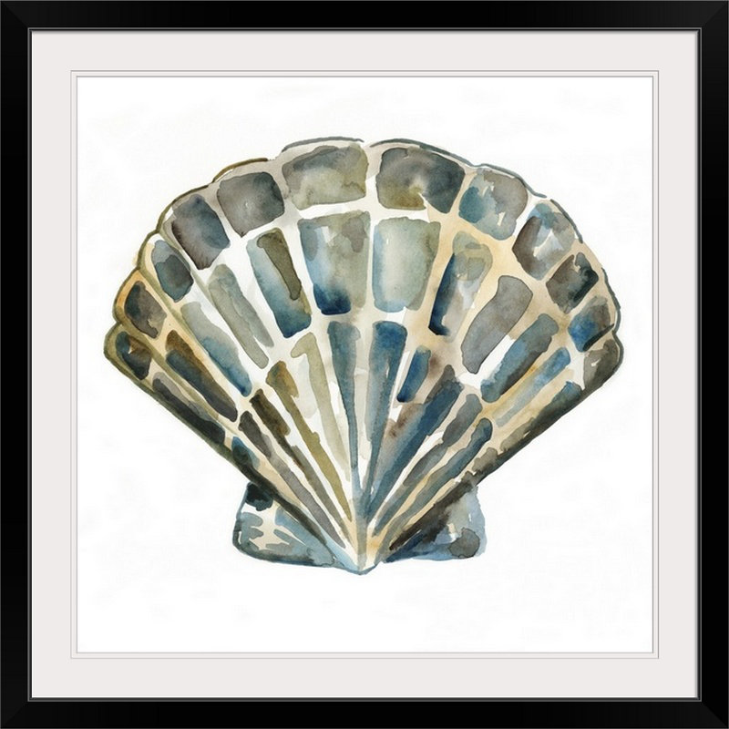 « iv » chariklia zarris, reproduction d’art Aquarelle Shells, H 32 po x l 32 po x P 1 po, Cadre noir