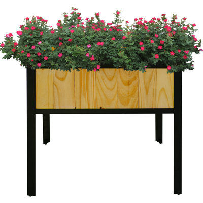 Madicyn Raised Garden Bed