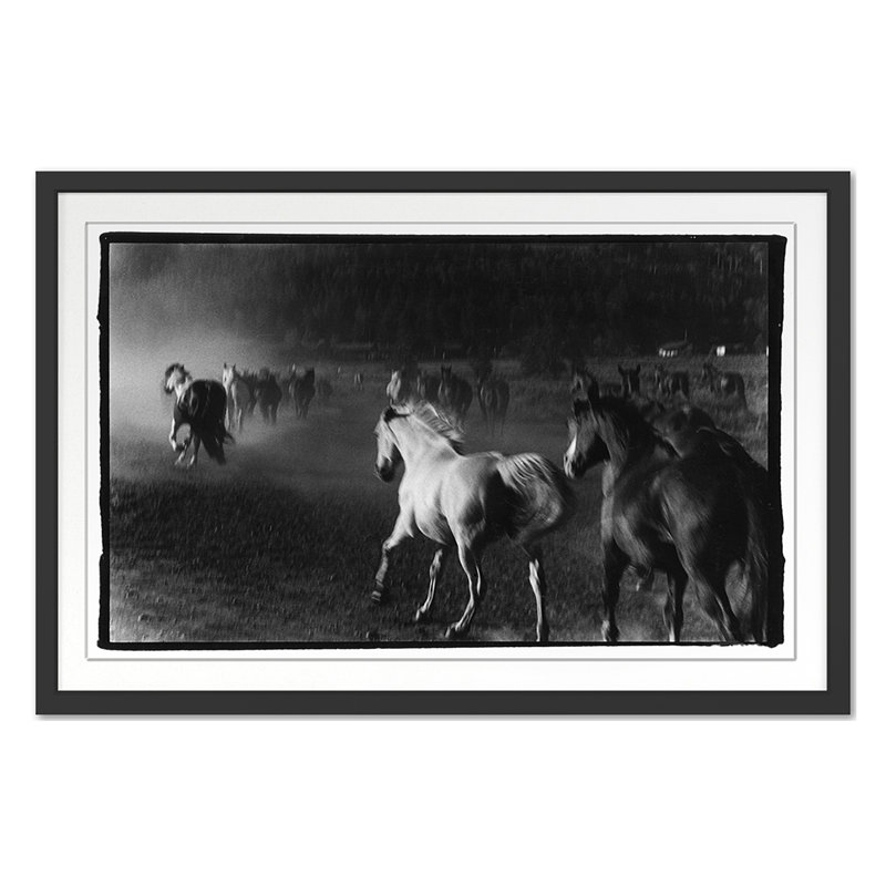 Hoof Dreams Print by Raab, Amy, Black Single Picture Framed, 20'' H x 30'' W
