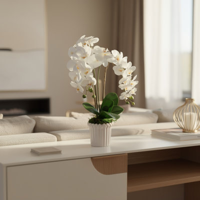 Arrangement d'orchidées dans un vase cannelé
