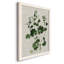 «Forest Foliage on Linen III», reproduction d'un seul cadre photo sur toile-88399470-88399471