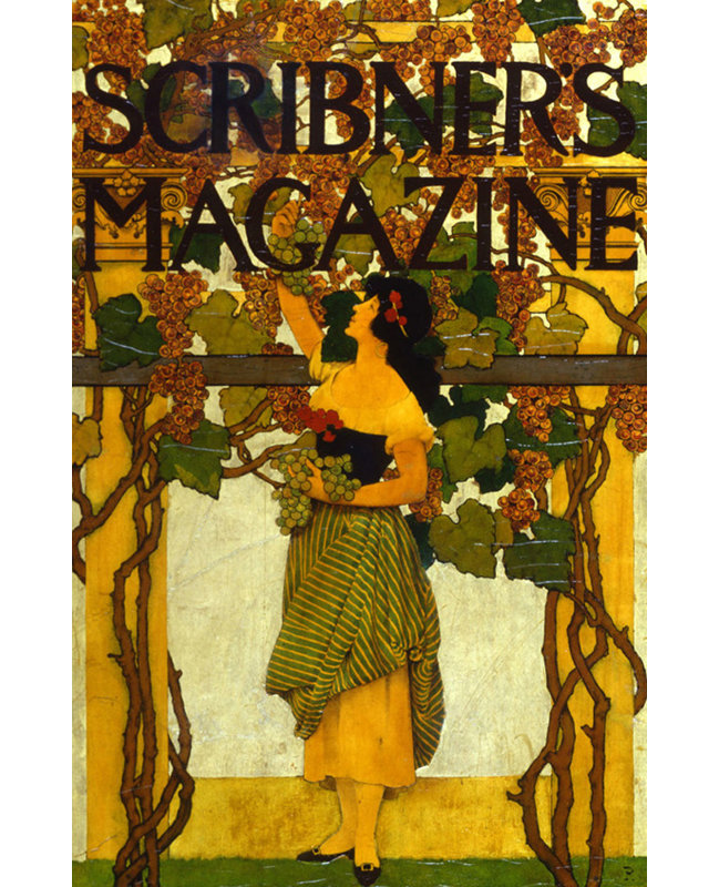 A Grape Gatherer (couverture de magazine Scribner), H 18 po x l 12 po