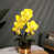 Jaune