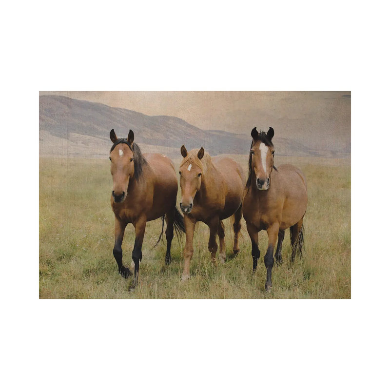 Three Friendly Mustangs by Rhonda Thompson - Wrapped Canvas Print, 66.04 cm H x 45.72 cm W