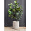 Demi Series Round Planter-83894852-86823201-83894856