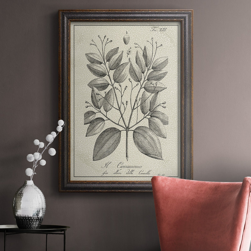 Antique Black & White Botanical VII - reproduction d'art sur toile, H 36 po x l 24 po x P 2,5 po