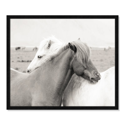 Melanie "Icelandic Meadow Horses" Print