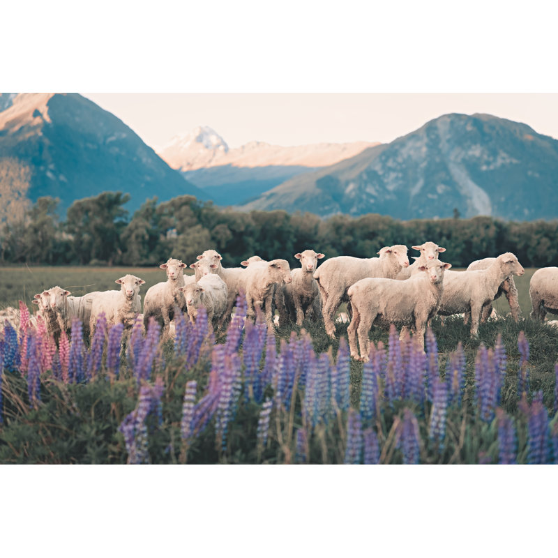 Troupeau de moutons par Edwin Tan, H 8 po x l 12 po