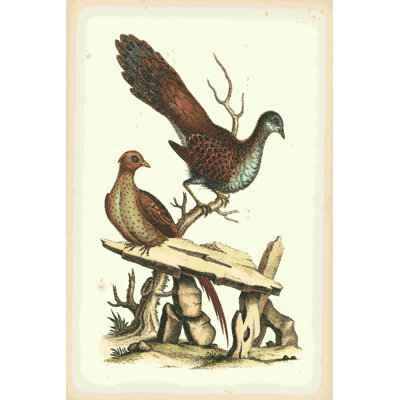 Regal Pheasants I 2855023