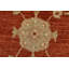 Tapis unique 9 pi 3 po x 12 pi 1 po Gayraan