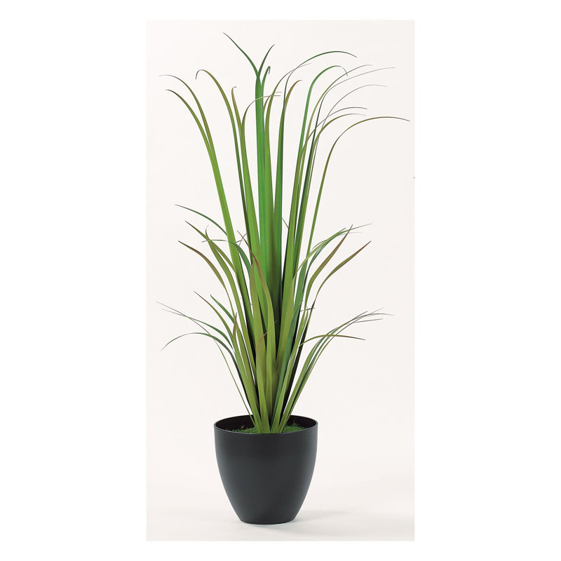 Herbe en faux roseau 4,5 pi avec jardinière noire