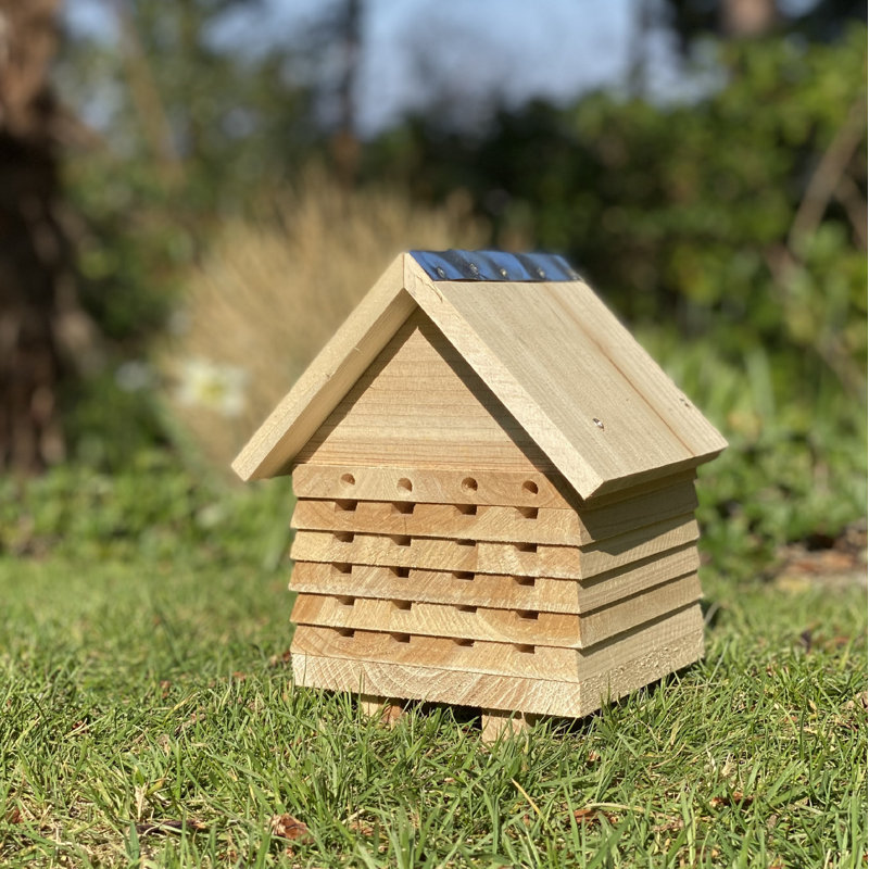 Izaguirre Freestanding Bumblebee House