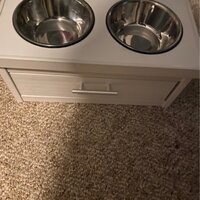 Archie & Oscar™ Achilles Piedmont 2-Bowl Elevated Dog Diner with Storage  Drawer & Reviews