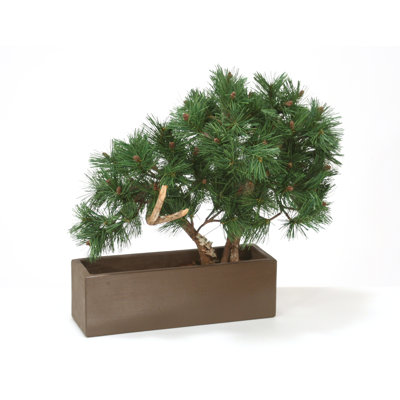 18'' Faux Bonsai Tree in Earthenware Pot