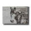«Portrait of a Horse» par Irena Orlov, art mural sur toile-263427322