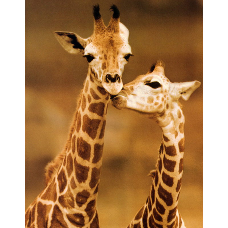 Girafe First Love, H 24 po x l 19 po