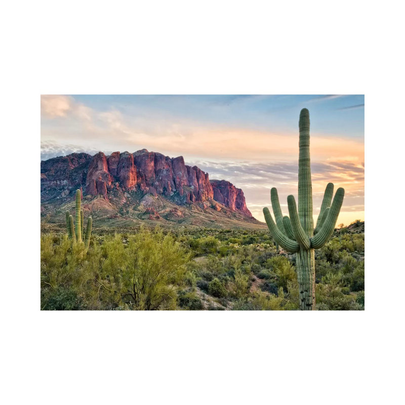 Cacti View II by David Drost - Wrapped Canvas Gallery-Wrapped Canvas Giclée, 101.6 cm H x 66.04 cm W x 1.91 cm D