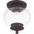 Glass Semi Flush Mount-1408749438