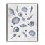 Giclée encadrée à motif de coquillages variés, conception de Jacob Q-580743926-580743922
