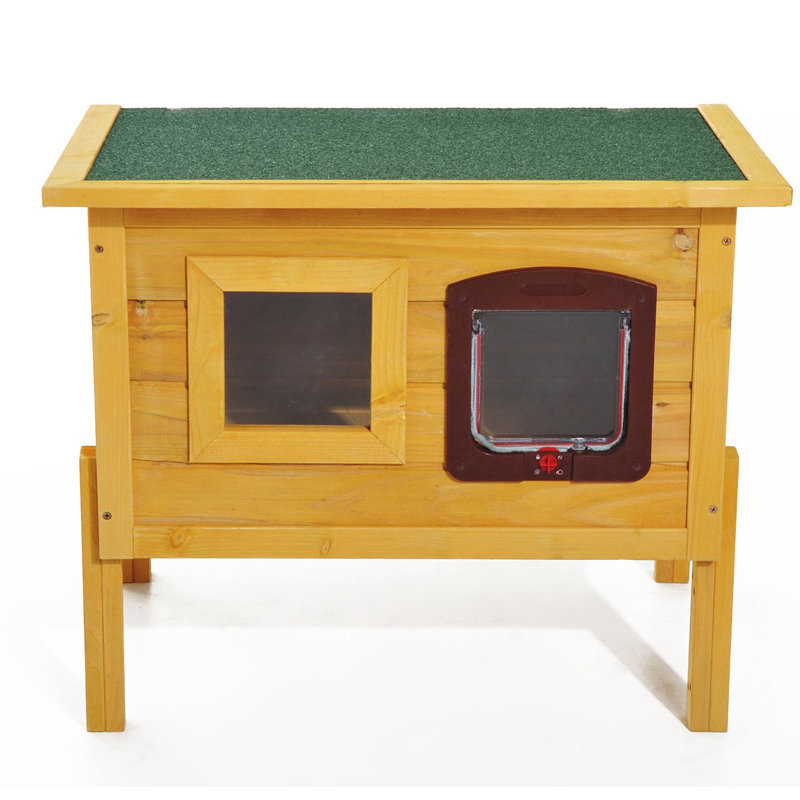 Cat House