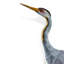 Luxury Porcelain Heron Sculpture with Bronze Rim Base